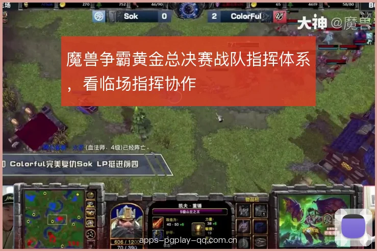 魔兽争霸黄金总决赛战队指挥体系，看临场指挥协作